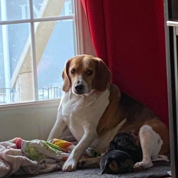 Meet your Posher, Kelli - Picture 1 of 1